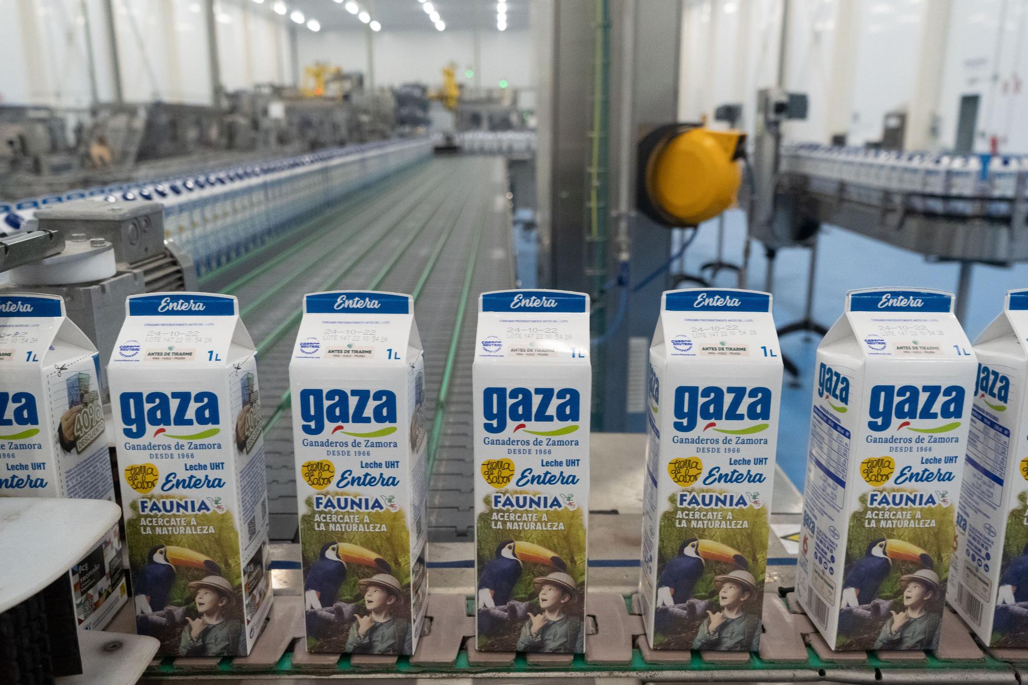 GALERÍA | Así es la nueva fábrica de Leche Gaza en Coreses