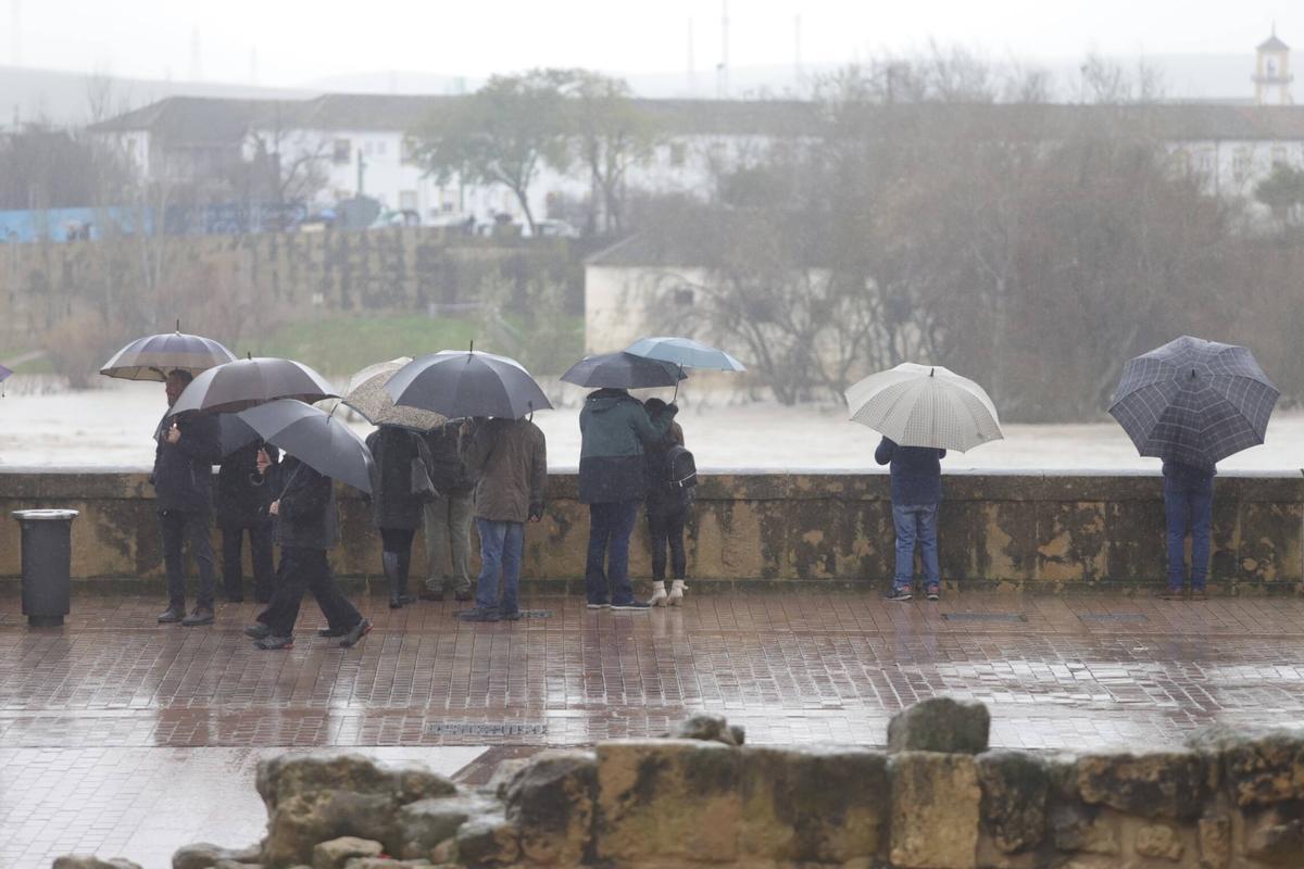 Un grupo de personas observa la crecida del Guadalquivir en un día de lluvia el pasado 7 de febrero.