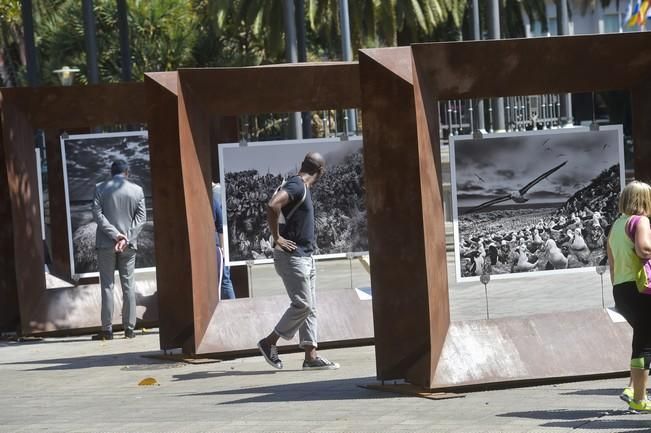 Inauguración de la exposición de Sebastiao ...