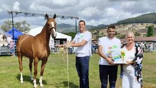 El I Concurso de Ganado Equino de Llanera "nace con vocación de permanencia en el futuro", destaca la alcaldesa Eva María Pérez