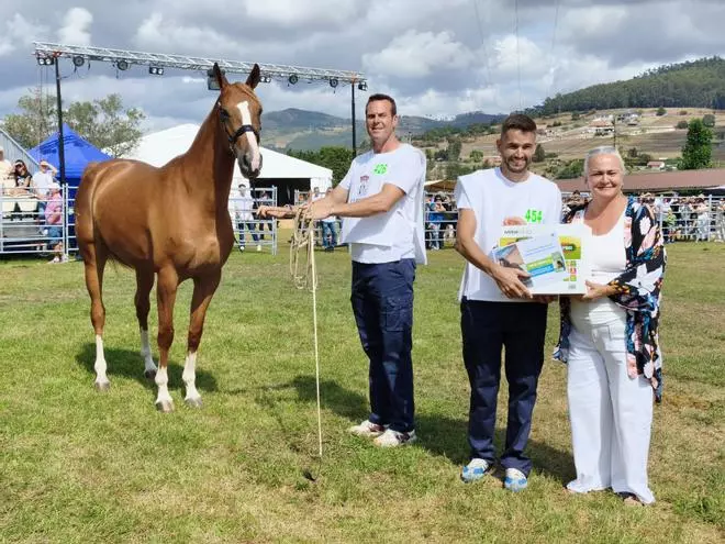 Así fue la entrega de premios del I Concurso-Exposición de Ganado Equino de Llanera