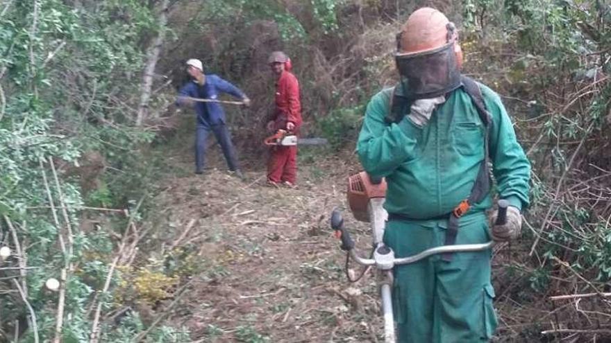 Tareas de desbroce en Milmanda. // FdV