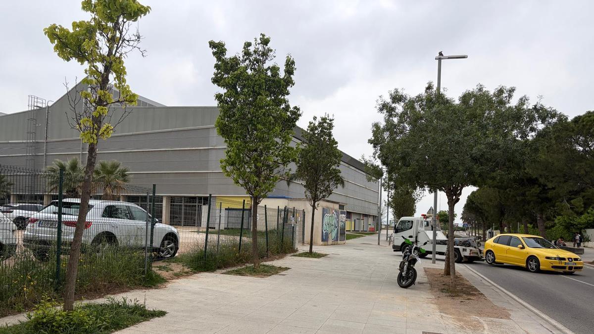El depósito de vehículos municipal, en la avenida Diputación.