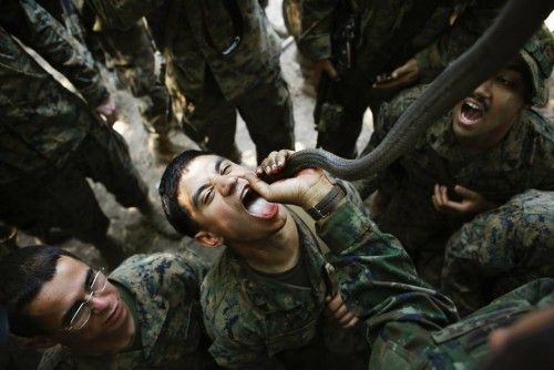 Un marine estadounidense bebe la sangre de una cobra durante un ejercicio de supervivencia en la jungla en Singapur