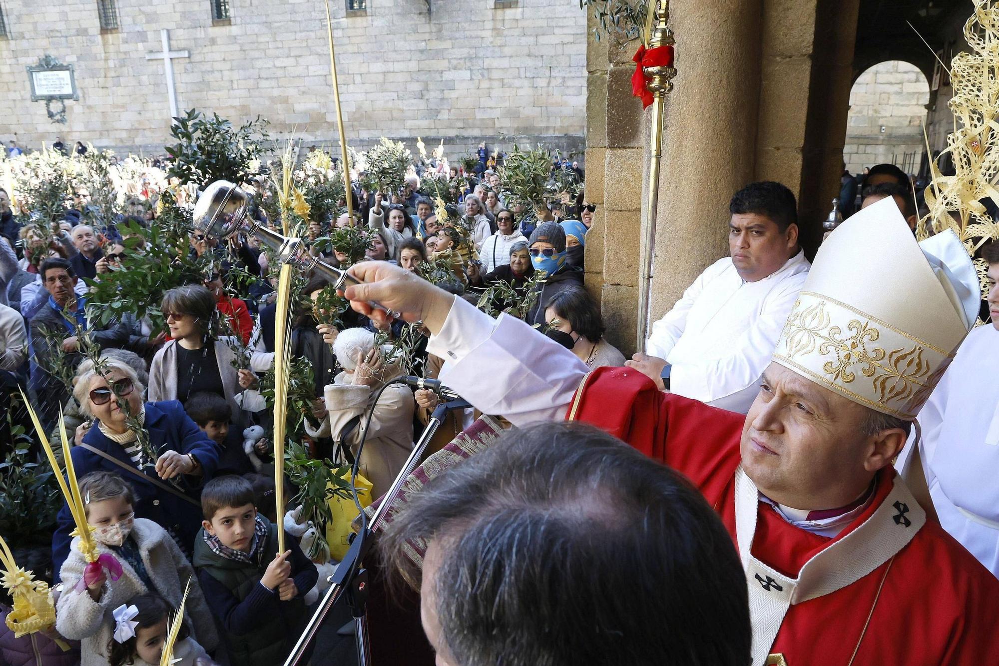 Procesión de la Borriquita y bendición de palmas en el Domingo de Ramos