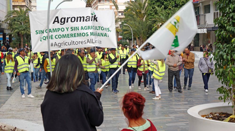 Así ha sido la manifestación de los agricultores