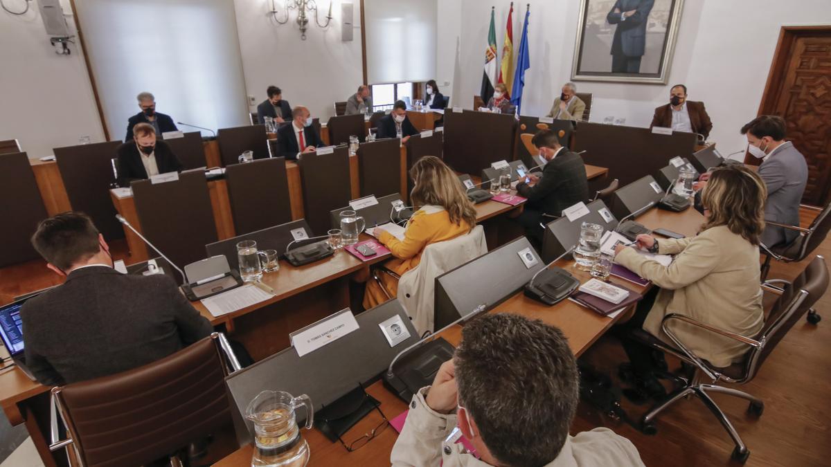 Un momento del pleno ordinario de abril que llevó a cabo ayer la Diputación Provincial de Cáceres.