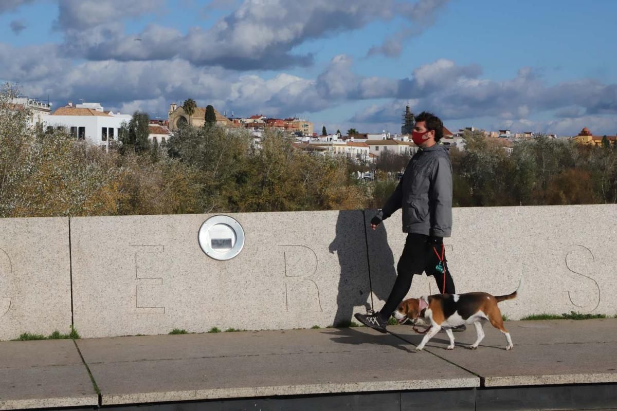 El último sol de otoño