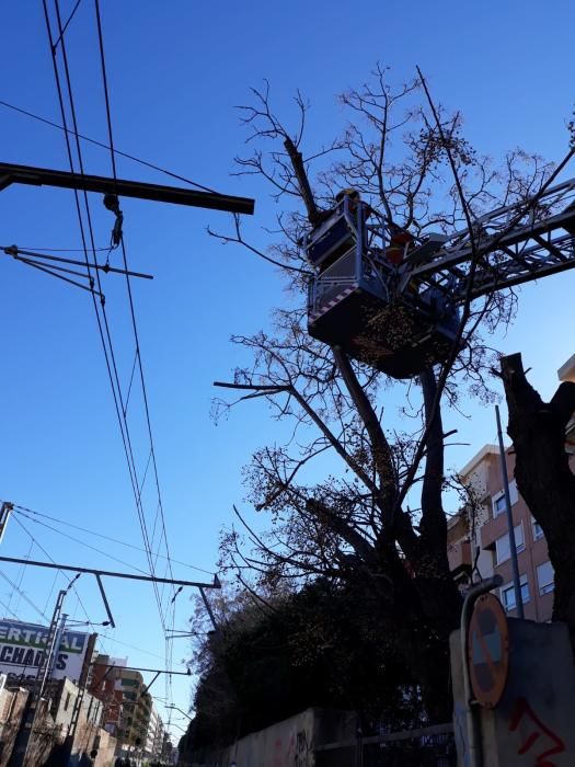 El viento causa desperfectos en Valencia