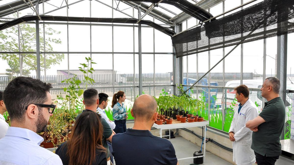 Presentacion nuevos productos de la compañía aragonesa Arvensis Agro, especializada en nutrición vegetal para agricultura.