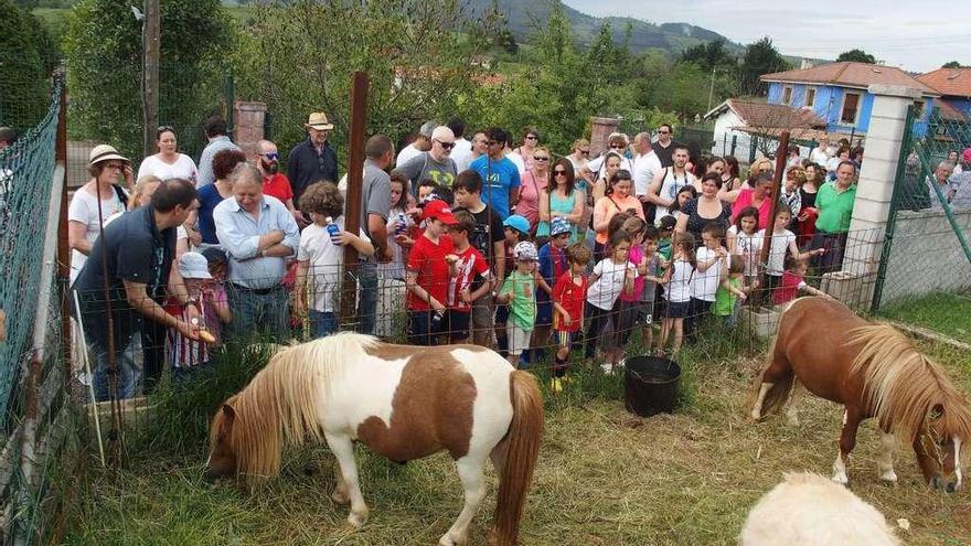 Los vecinos de San Cucao disfrutan del zoológico de Tuernes