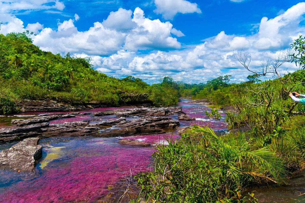 Caño Cristales