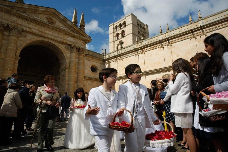 Así ha sido el Corpus 2016 en Zamora