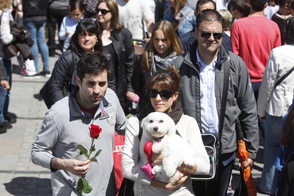 Sant Jordi a Girona