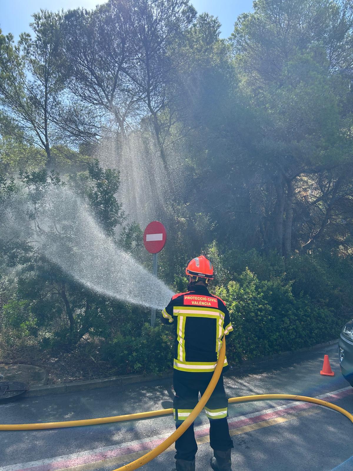 Los bomberos riegan las inmediaciones de la Gola de Pujol