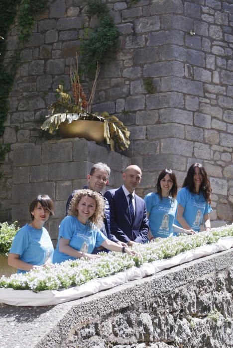 Fossat de la catedral de Girona