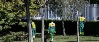 El contrato para el mantenimiento de los parques en Cáceres se incrementará en 1,4 millones