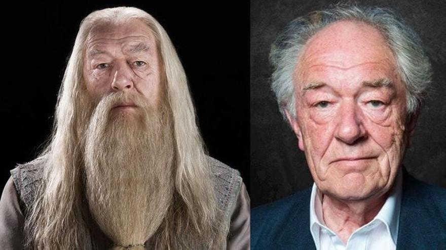 Dumbledor 20 años después.