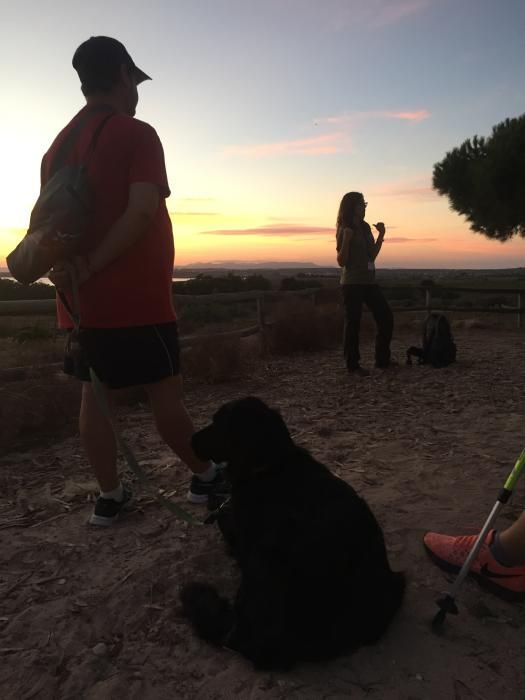 Ruta nocturna por el Parque Natural de Torrevieja