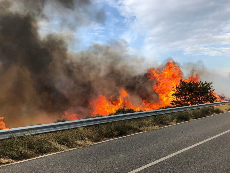 Imágenes del incendio forestal de Grisuela.