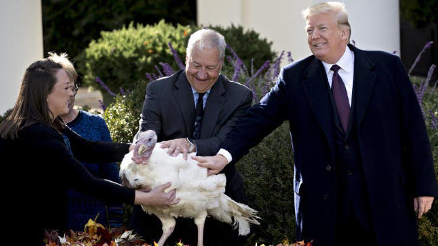 Trump cumple con la tradición e indulta a los dos pavos en la Casa Blanca en la víspera de Acción de Gracias