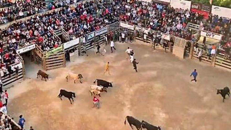 Imatge aèria de l&#039;accidentat correbous de Cardona.