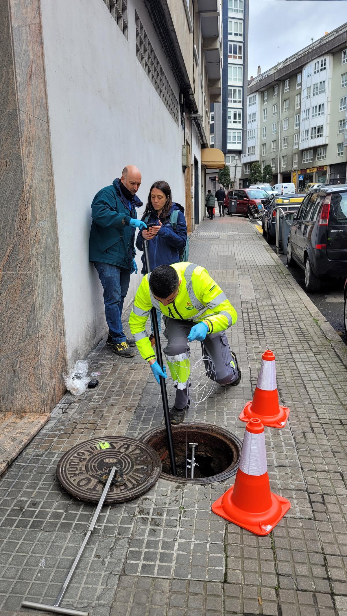 Lokímica se ha convertido hoy en la empresa líder en España en el control de estas plagas.