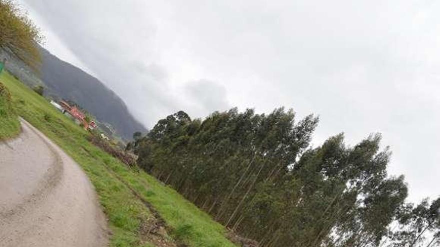 La finca donde se pretende ubicar el hotel canino en El Truébano.