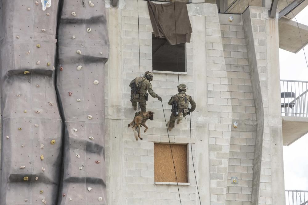 Los boinas verdes son soldados expertos en operaciones que, por su alta especialización, no pueden se desarrolladas por otras unidades, como el rescate de rehenes, reconocimientos especiales o captura