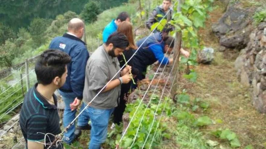 Escolares en la finca de Os Chancís. // FdV