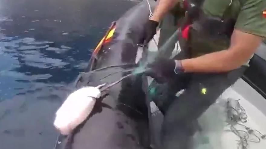 Pesca ilegal en Tenerife: 400 metros de redes y 17 kilos de pescado