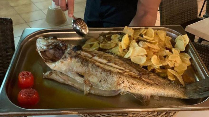 Los pescados, una de las especialidades. | | VISTA AL PUERTO