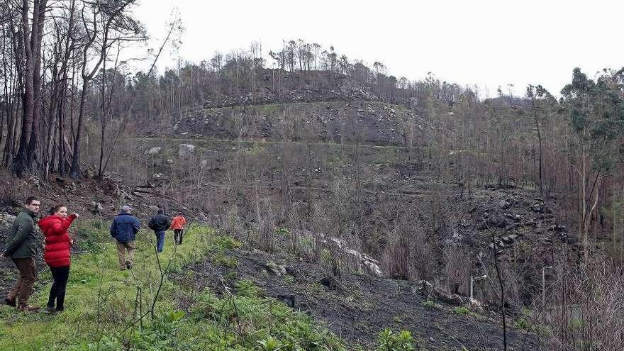 Zonas quemadas en Chandebrito en los incendios de octubre.