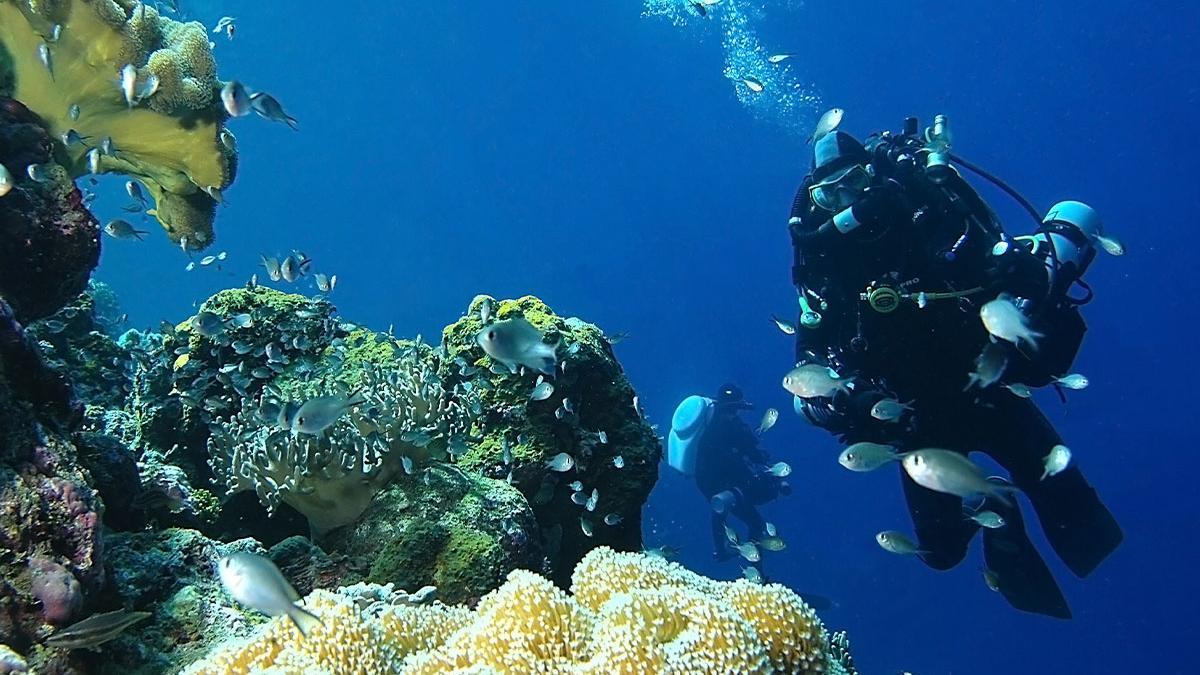 Buzos en el fondo marino