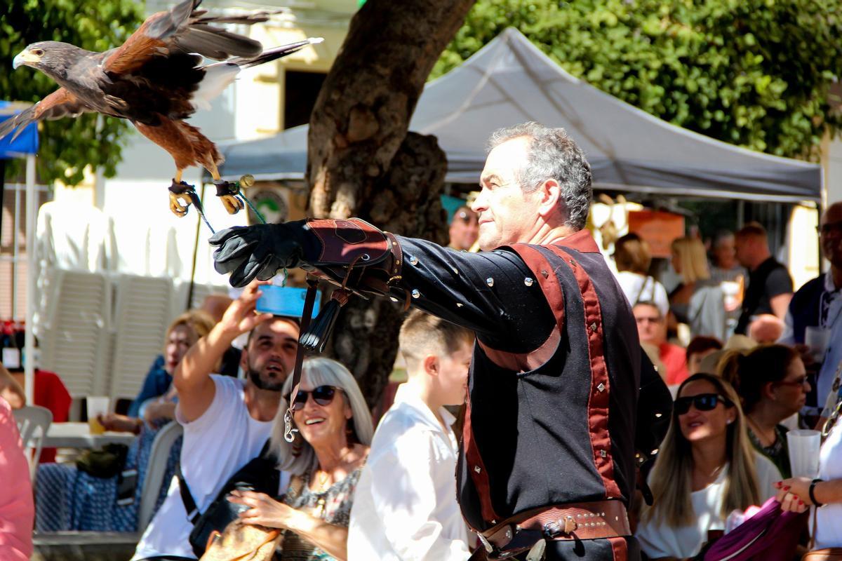 Desde mediodía, en el zoco habrá exhibiciones de aves rapaces