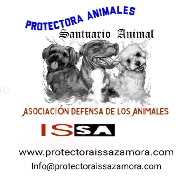 Protectora de Animales de Zamora &quot;Santuario Animal&quot;