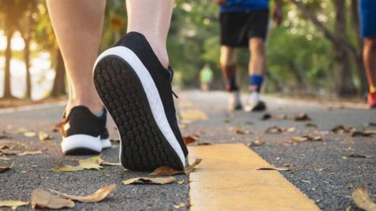 L’exercici físic millora l’estat de salut | ARXIU PARTICULAR