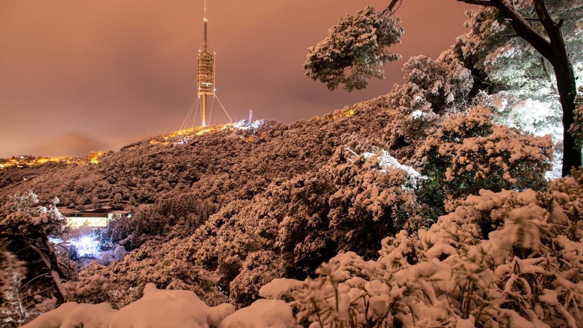 Nieve en la sierra de Collserola