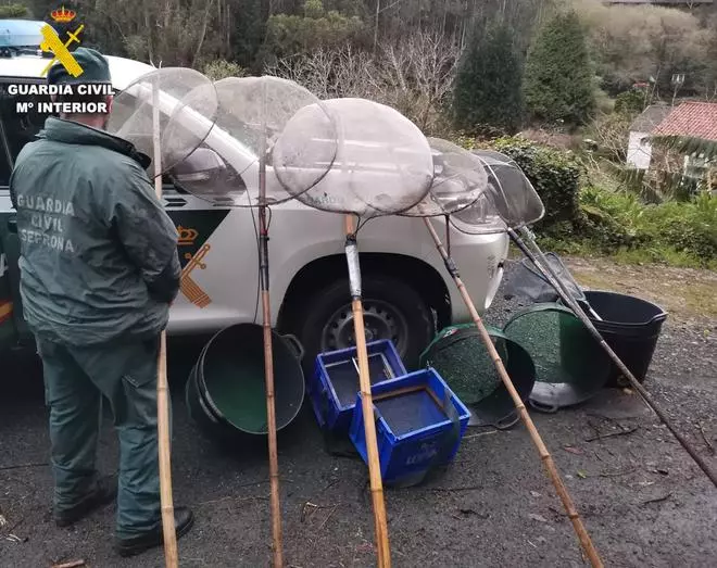 La Guardia Civil desmantela un grupo de furtivos de angulas en Valdoviño