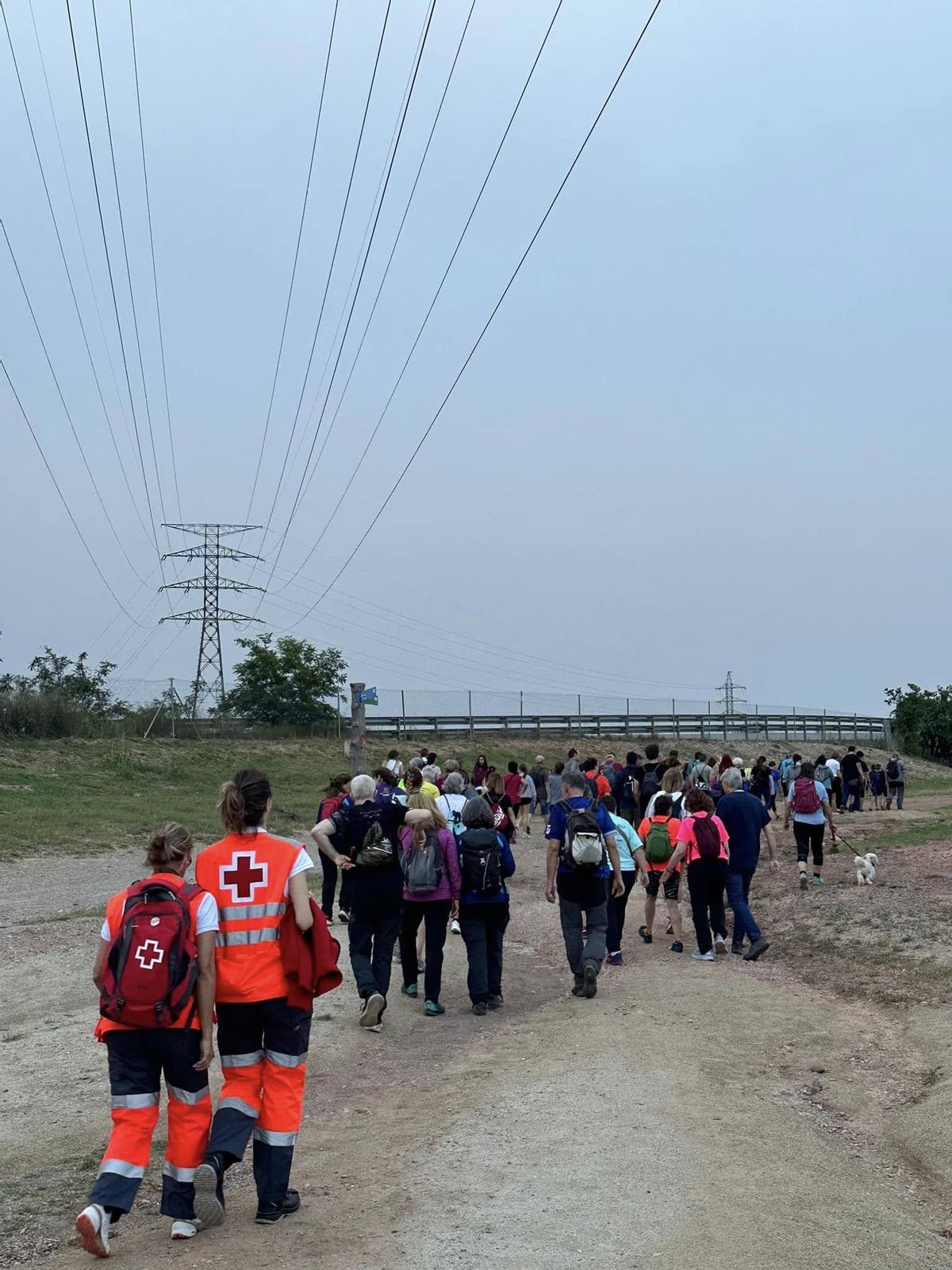 Una instantània de l'edició de l'any passat de la caminada nocturna