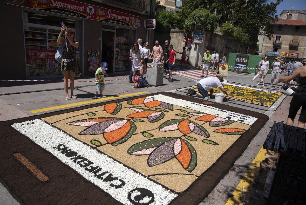 Catifes de flors d'Arbúcies