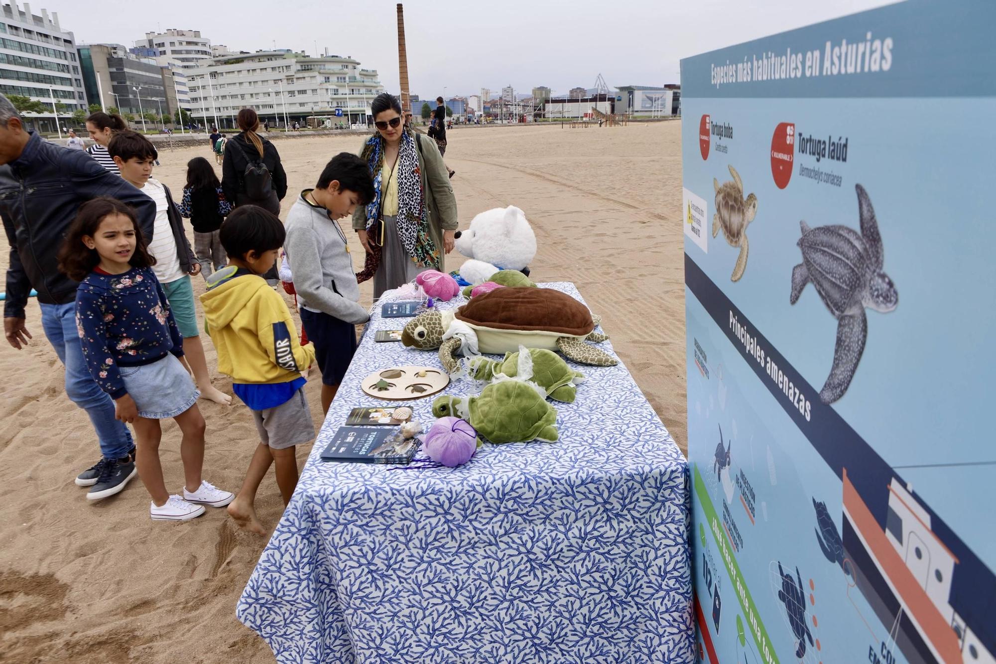 Así fue la suelta de tiburones en Gijón por el Día de los Océanos (en imágenes)
