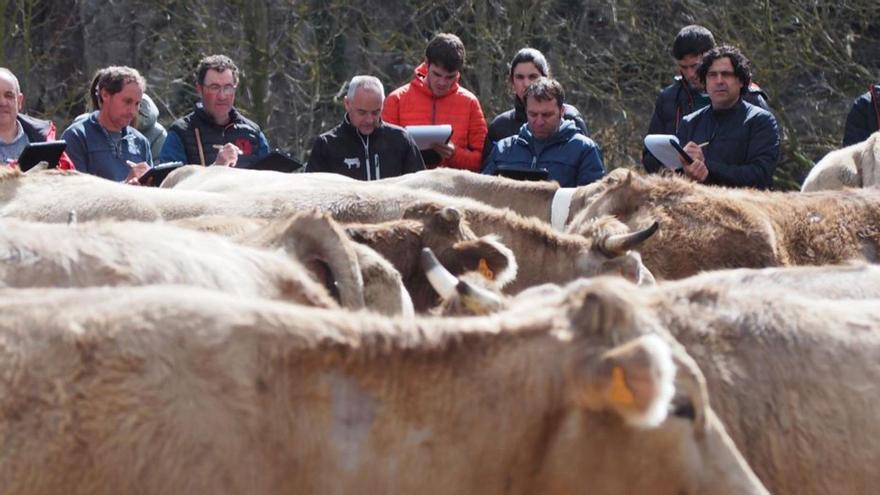 Albert Maurell, segon per la dreta, durant el curs de jutge | ESCOLA AGRÀRIA