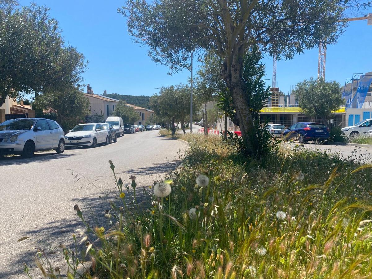 Mediana de la calle Illes Balears, asilvestrada.