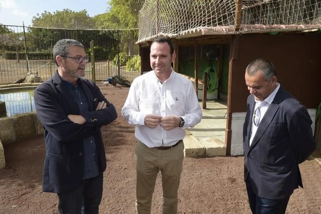 04-05-2016 TELDE. Nuevo espacio para aves en el parque de San Juan. Fotógrafo: ANDRES CRUZ