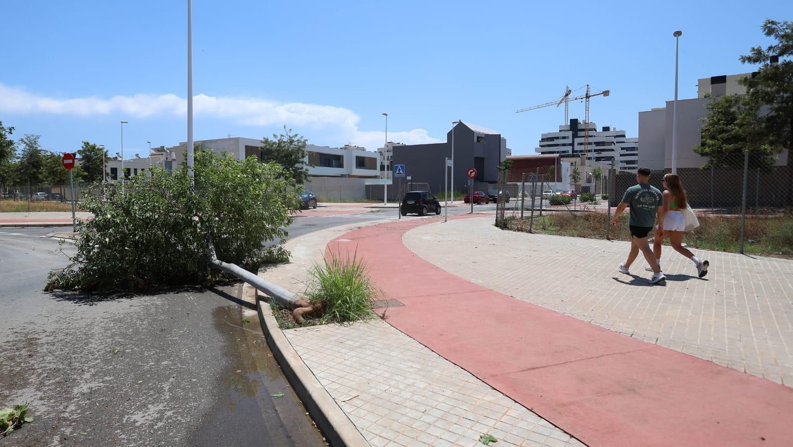 Los efectos del temporal en el Camp de Morvedre