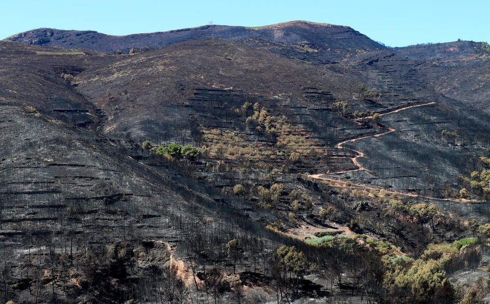 El desolador paisaje de la Calderona tras el incendio