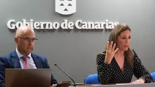 La Asociación Canaria de Alquiler Vacacional lleva a los tribunales al Gobierno por ocultar datos sobre la futura ley