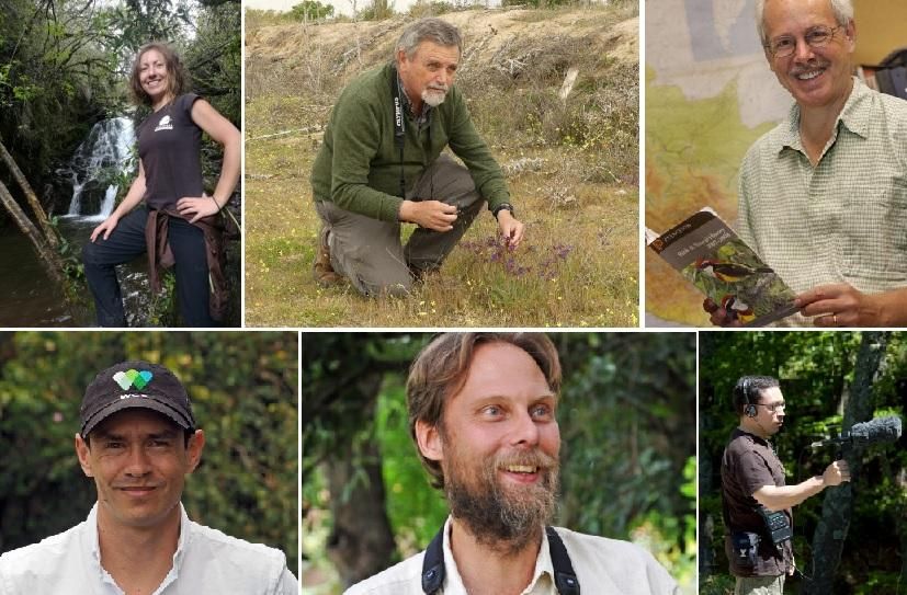 Ruth Muñiz López (Galicia), Eduardo de Juana (España), Tom Schulenberg (Perú), Fernando Ayerbe (Colombia), Sebastián Herzog (Bolivia), José Luis Copete (España).