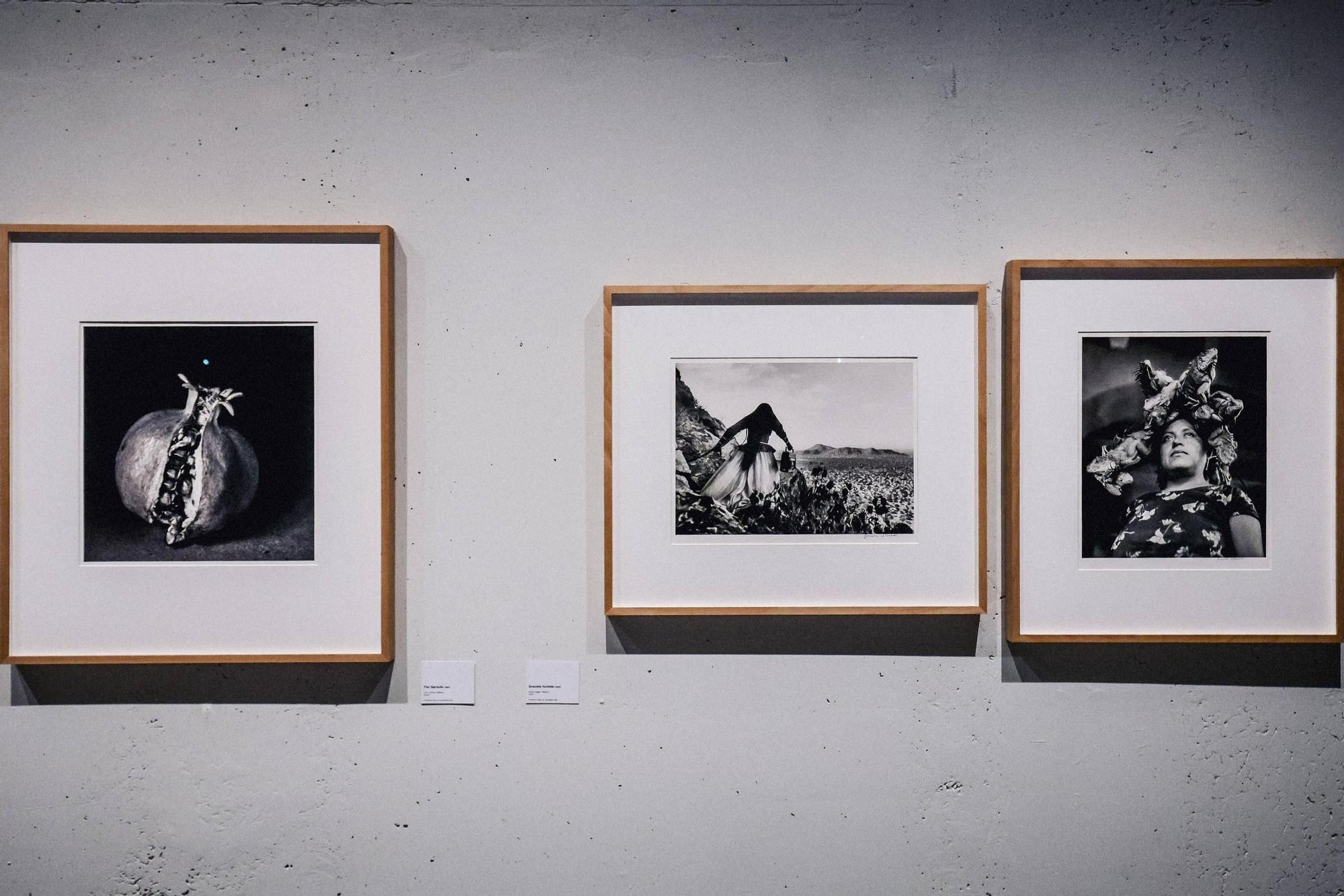 El Centre Catany expone los iconos de la fotografía del siglo XX en diálogo con jóvenes talentos
